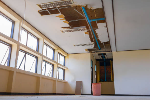 Best Water damage restoration near me  in Bloomfield Hills, MI