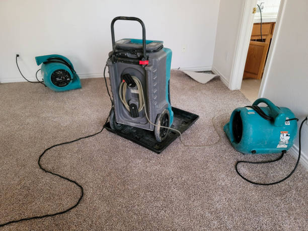 Best Water damage restoration cost  in Bloomfield Hills, MI