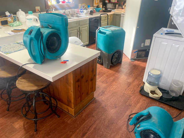Best Professional water damage repair  in Bloomfield Hills, MI