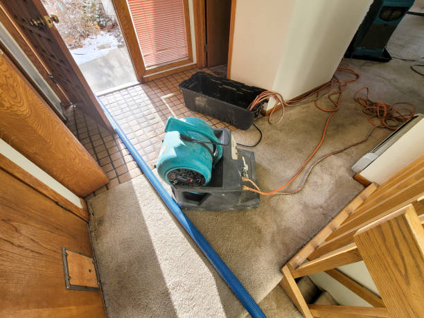 Carpet water damage restoration in Bloomfield Hills, MI