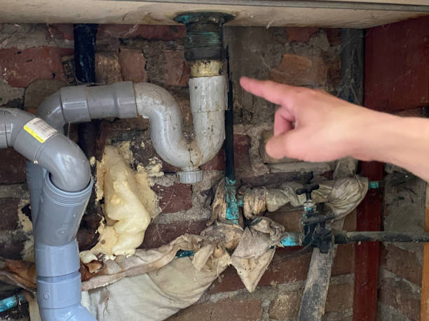 Best Professional water damage repair  in Bloomfield Hills, MI
