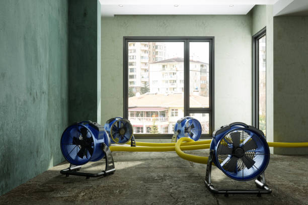 Best 24-hour water damage restoration  in Bloomfield Hills, MI